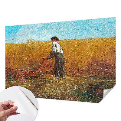 Fototapeta do dětského pokoje Sklizeň na slunci