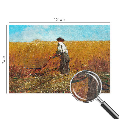 Fototapeta do dětského pokoje Sklizeň na slunci