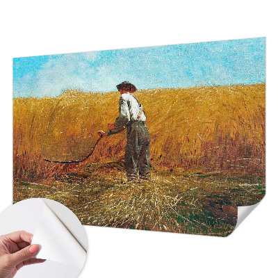 Fototapeta do dětského pokoje Sklizeň na slunci