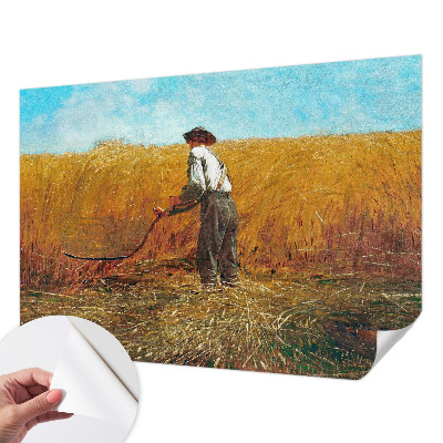 Fototapeta do dětského pokoje Sklizeň na slunci
