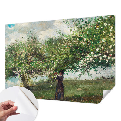 Fotografická tapeta na zeď Jarní scéna