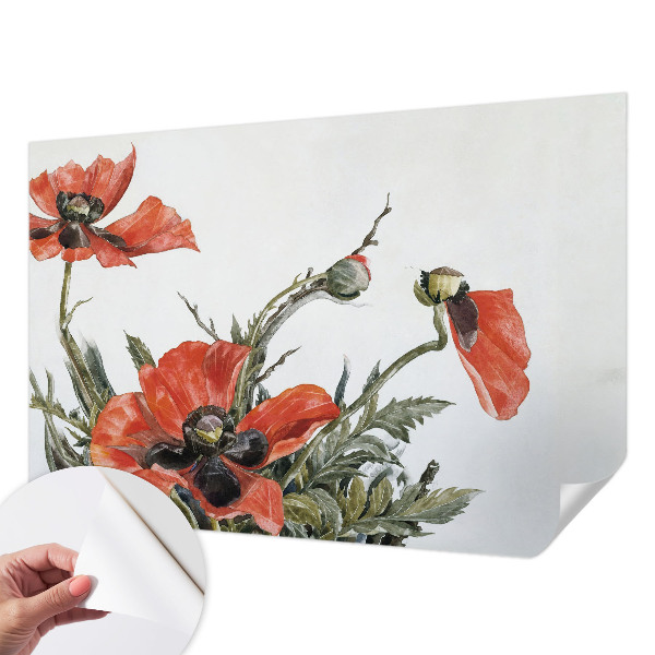 Samolepící fototapeta 3d Červené máky