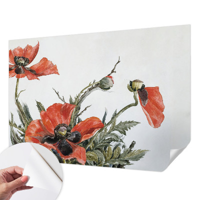 Samolepící fototapeta 3d Červené máky