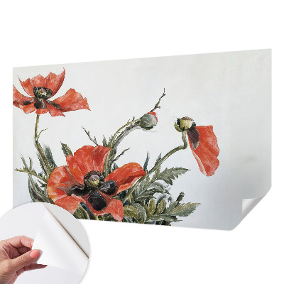 Samolepící fototapeta 3d Červené máky