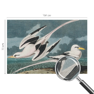 Samolepicí fototapeta do dětského pokoje Ptáci u moře