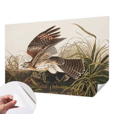 Fotografická tapeta samolepicí Okřídlená kráska