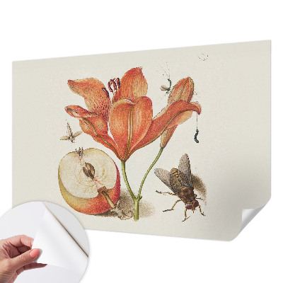 Samolepicí fototapeta s botanickou ilustrací