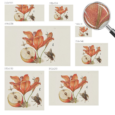 Samolepicí fototapeta Botanická ilustrace