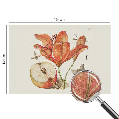Samolepicí fototapeta Botanická ilustrace