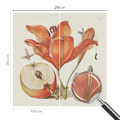 Samolepicí fototapeta Botanická ilustrace