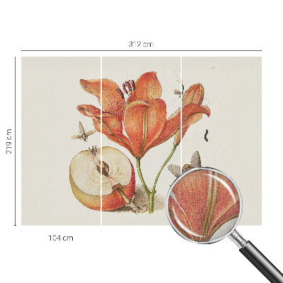 Samolepicí fototapeta Botanická ilustrace