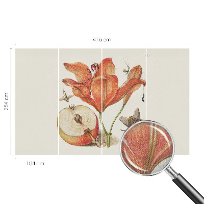 Samolepicí fototapeta Botanická ilustrace