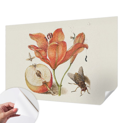 Samolepicí fototapeta Botanická ilustrace