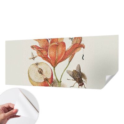 Samolepicí fototapeta Botanická ilustrace