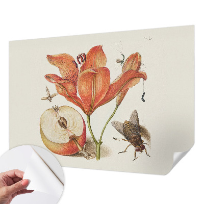 Samolepicí fototapeta Botanická ilustrace