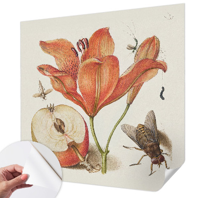 Samolepicí fototapeta Botanická ilustrace