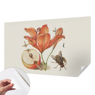 Samolepicí fototapeta Botanická ilustrace