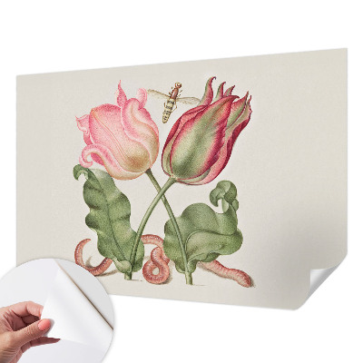 Samolepicí fototapeta na míru Tulipánová krása