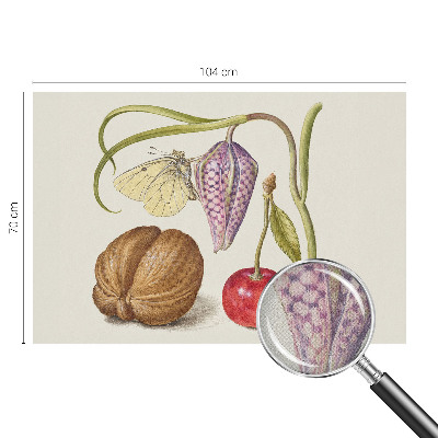 Samolepící tapeta Motýlí rostlina