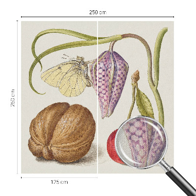 Samolepící tapeta Motýlí rostlina