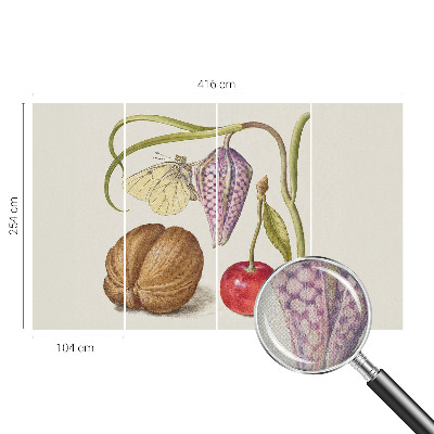 Samolepící tapeta Motýlí rostlina