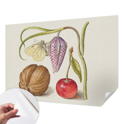 Samolepící tapeta Motýlí rostlina