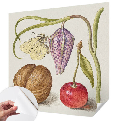 Samolepící tapeta Motýlí rostlina