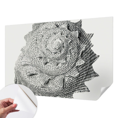 Fototapeta pro holku Umění přírody