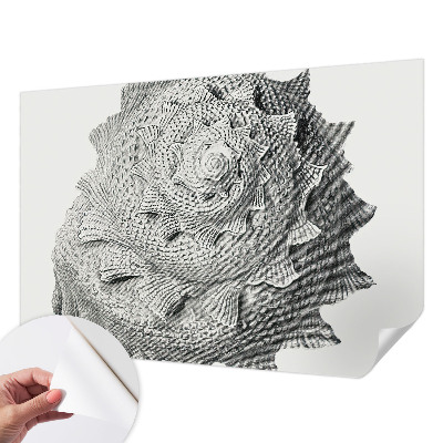 Fototapeta pro holku Umění přírody