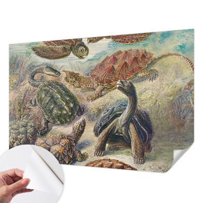 Samolepící fototapeta 3D s motivem želví fauny
