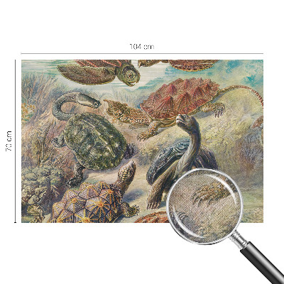 Samolepící fototapeta 3d Želví fauna