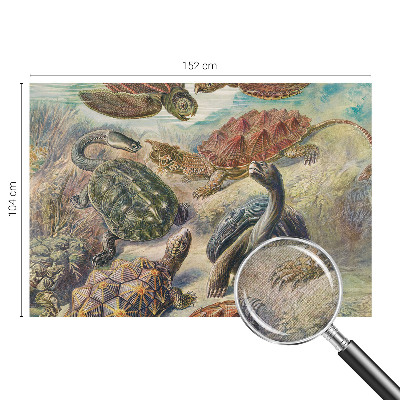 Samolepící fototapeta 3d Želví fauna
