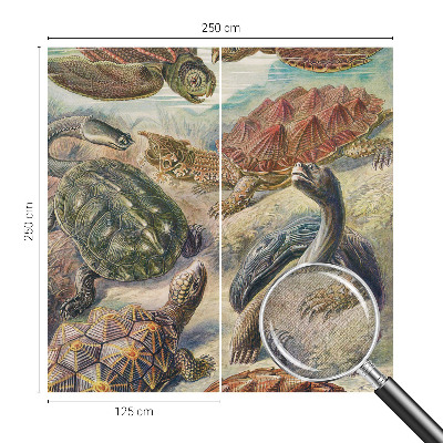 Samolepící fototapeta 3d Želví fauna