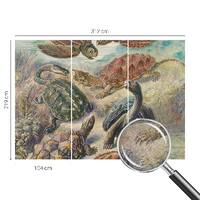 Samolepící fototapeta 3d Želví fauna