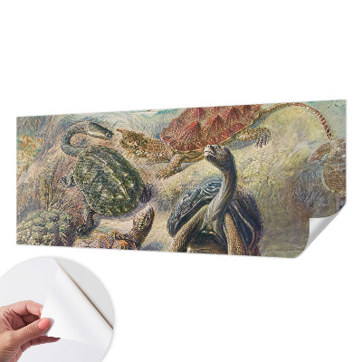 Samolepící fototapeta 3d Želví fauna