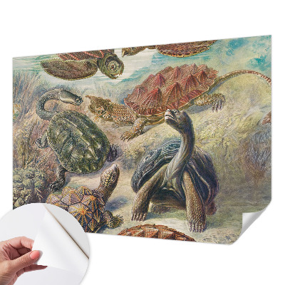 Samolepící fototapeta 3d Želví fauna