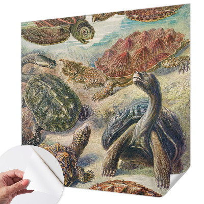 Samolepící fototapeta 3d Želví fauna