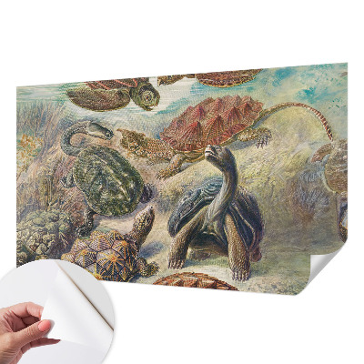 Samolepící fototapeta 3d Želví fauna