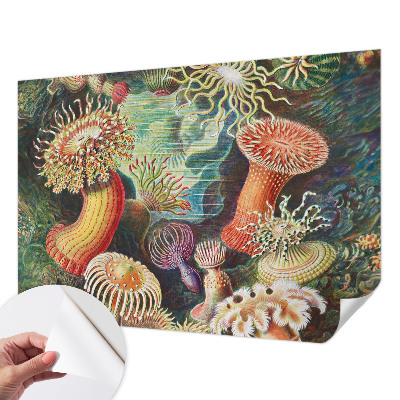 Samolepicí fototapeta s motivem luxusních sasánek