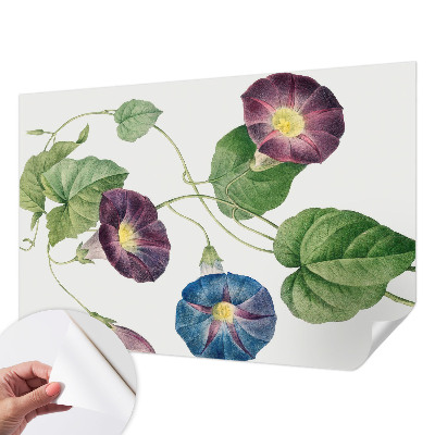 Samolepicí fototapeta na míru Floristická elegance