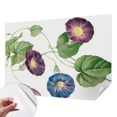 Samolepicí fototapeta na míru Floristická elegance