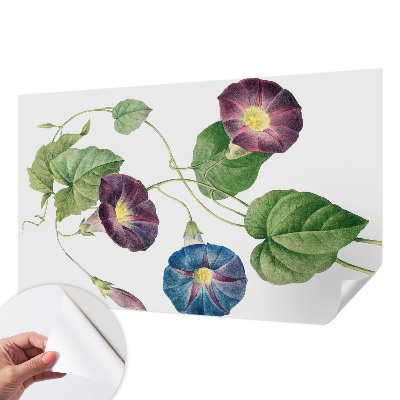 Samolepicí fototapeta na míru Floristická elegance
