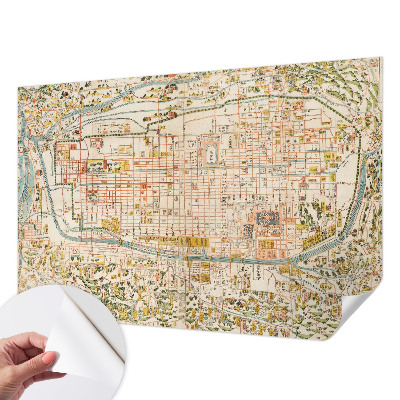 Samolepicí fototapeta do ložnice Starožitná mapa