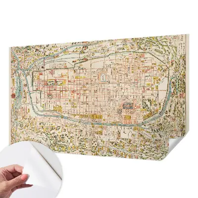 Samolepicí fototapeta do ložnice Starožitná mapa