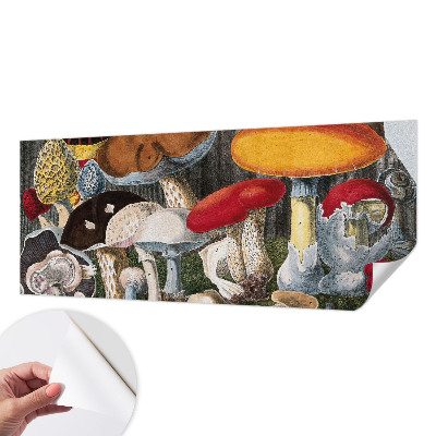 Fototapeta pro kluka Botanické houby