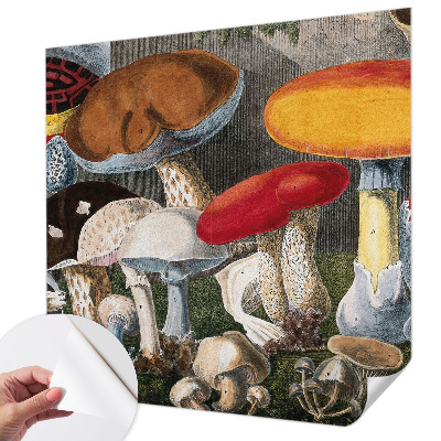 Fototapeta pro kluka Botanické houby