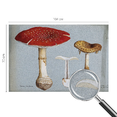 Samolepicí dekorativní fototapeta Rytiny hub