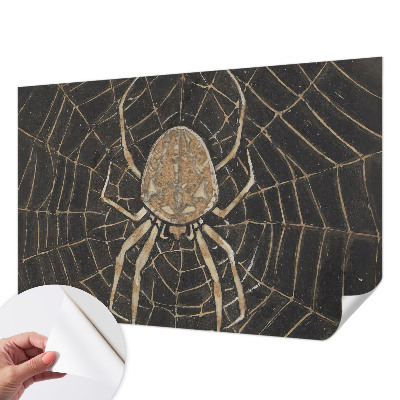 Fototapeta pro holku Pavučina