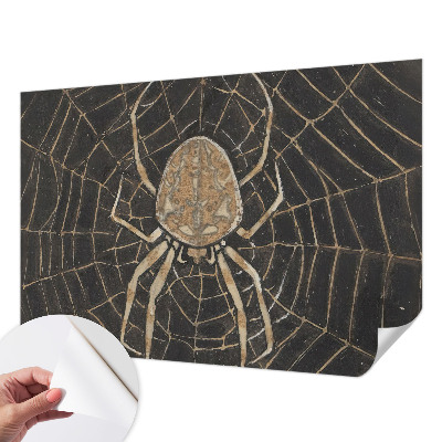 Fototapeta pro holku Pavučina