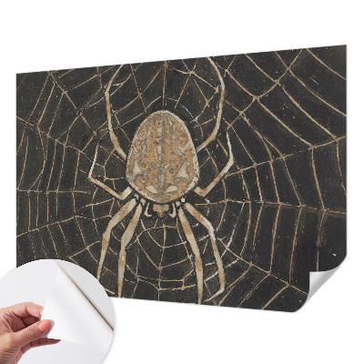 Fototapeta pro holku Pavučina